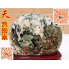 優(yōu)良的廣西奇石網(wǎng)國畫石東寶觀賞石經(jīng)營部優(yōu)惠供應(yīng) 廣西奇石網(wǎng)國畫石別具一格