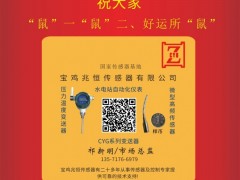寶雞兆恒傳感器總經(jīng)理：祁新明2020新春寄語 一百零八星報(bào)喜之天捷星