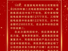 喜報(bào) | 威勝集團(tuán)成功中標(biāo)電網(wǎng)項(xiàng)目超2.5億元！