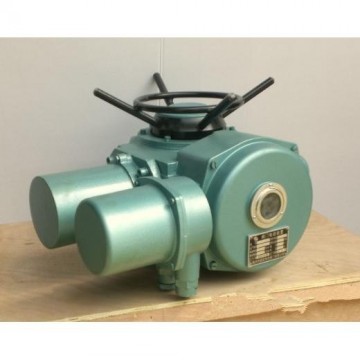 DZW15-24-A00-DS1 95典設(shè)型閥門(mén)電動(dòng)