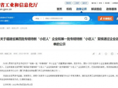 喜獲殊榮！虹潤公司榮膺國家專精特新“小巨人”企業(yè)稱號