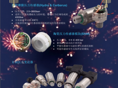 百夫長(zhǎng)傳感技術(shù)（深圳）有限公司 總經(jīng)理 趙勇 2023年新春寄語(yǔ)