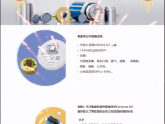 上海德薩堡傳感器有限公司  總經(jīng)理 王欣 2023年新春寄語(yǔ)