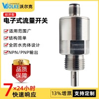 FGJ經(jīng)濟型插入式流量開關 消防水流開關 開關量輸出