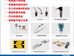 廣東華蘭海電測入刊上海世環(huán)會特刊《儀表與測量控制》系列客戶報道40